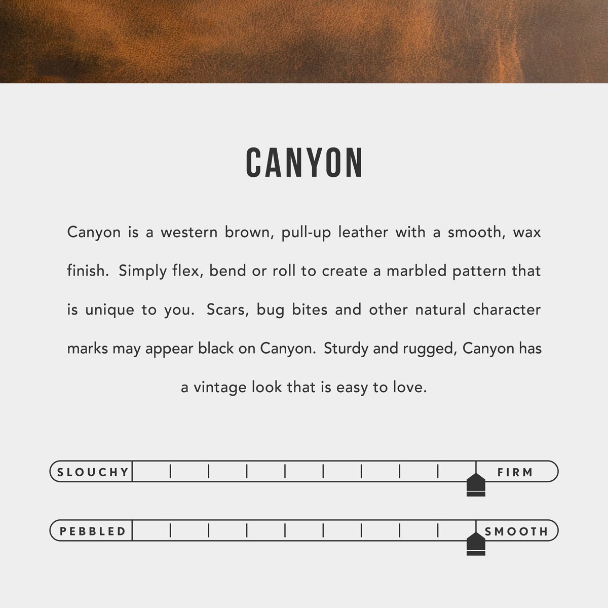 All Color: Canyon | infographic